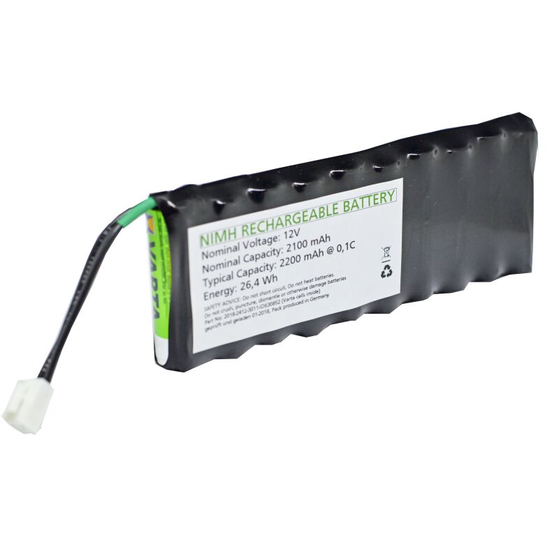 Pro Line Akku Für Rolladensteuerung – 12V/2100mAh NiMH LSD, Made In Germany