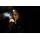 Led Lenser Kopfleuchte MH3 schwarz/grau inkl. Batteriesatz