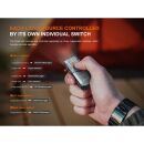 Fenix E06R Schlüsselbundleuchte Weißes+UV+Laser Licht Grau