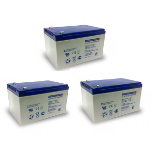 Akkus kompatibel zu 36V Kinder Auto Motorrad Quad Batterie AGM Akku 12V 12Ah