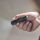 Led Lenser Taschenlampe P5 inkl. Clip & AA Batterie